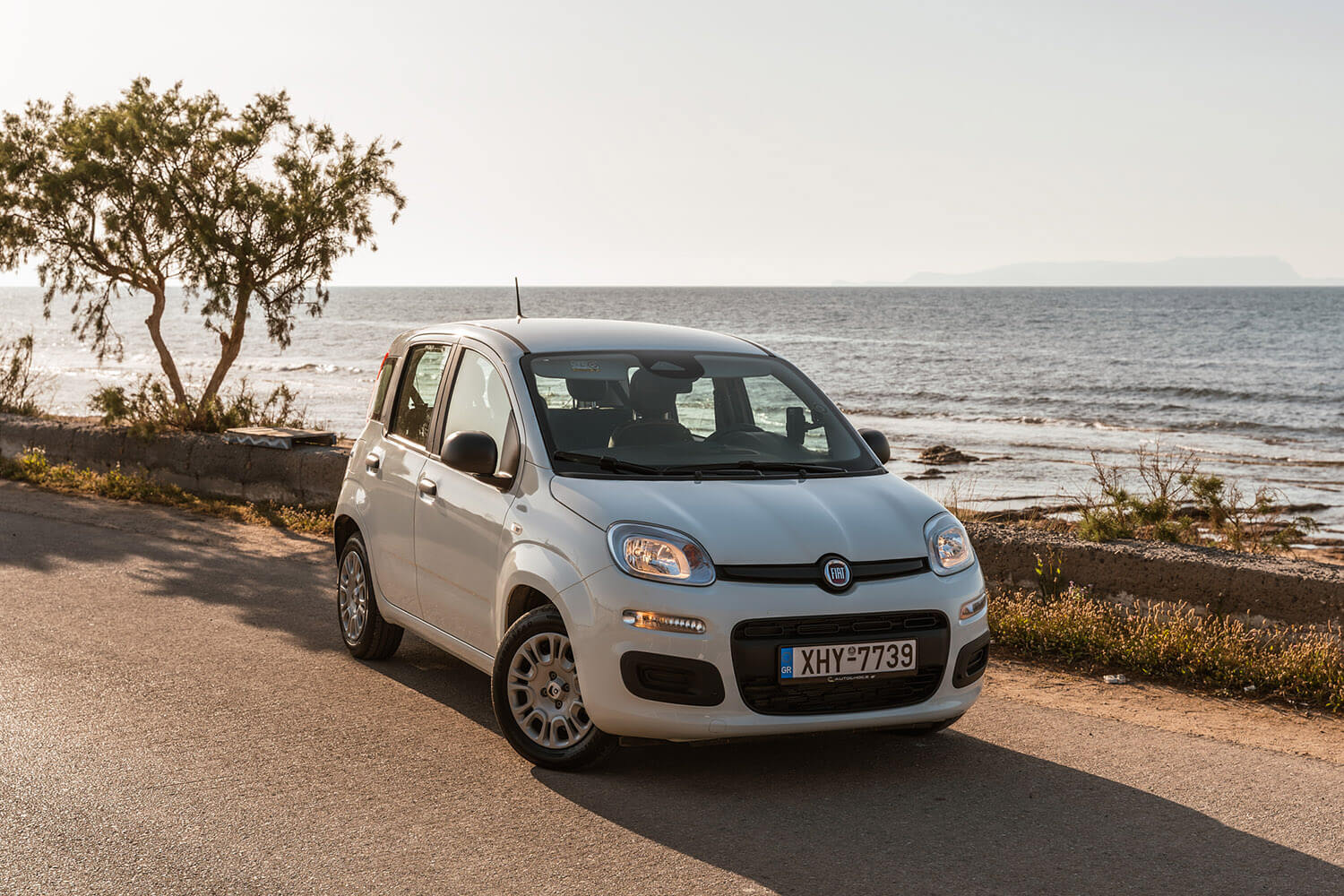 White Fiat hatchback parked on a coastal road with the sea and a tree in the background.