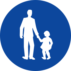 Pedestrians move use mandatory path