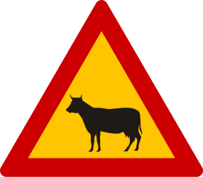 Cattle crossing
