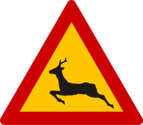 Deer crossing in area - road